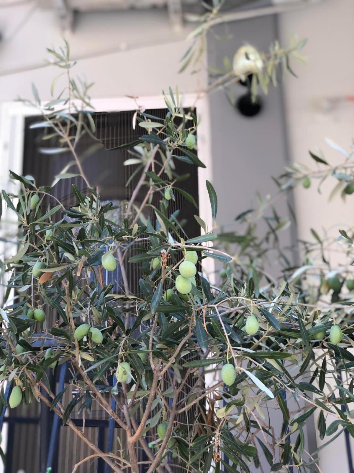 Nasos Aegina Apartment Bagian luar foto